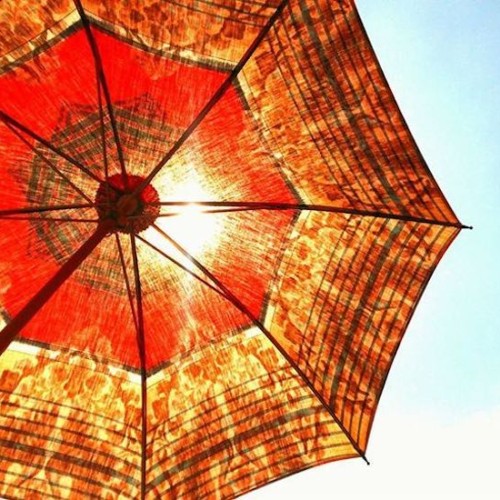 旅する日傘