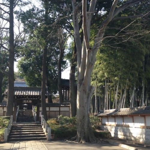 経堂のお寺