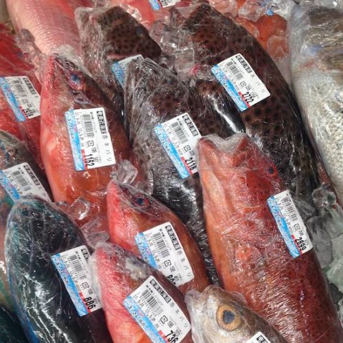 奄美大島のスーパーの魚売場